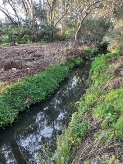Stony Creek, Cruickshank Park, Yarraville downstream