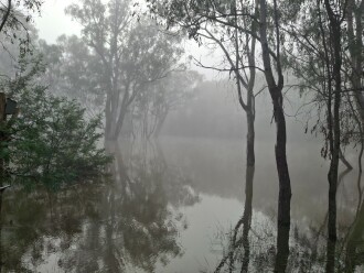Ovens River in flood covering site