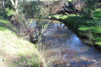 Down stream