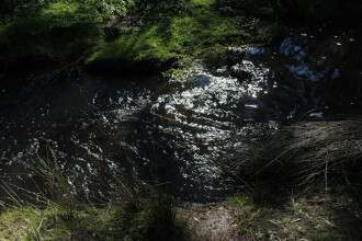 Site