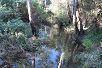 Upstream