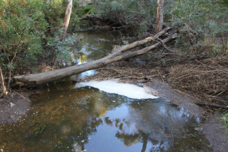 Down stream