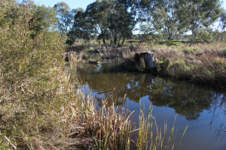 Down stream