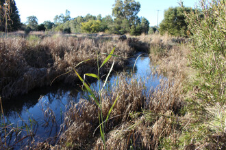 Upstream