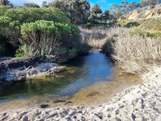 Griggs Creek flowing into the bay; view upstream