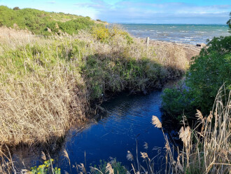 Griggs Creek pool sampling site