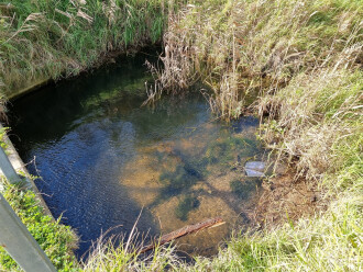 Coronae drain pool