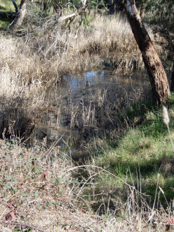 taken 1/08/2026 showing water flowing downstream