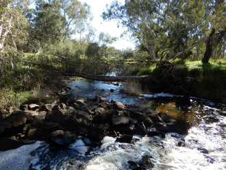 taken on 1/08/2026 looking downstream