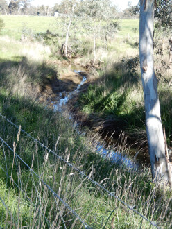 taken on 1/08/2026 showing water in channel 500m north of Stewarts Lane