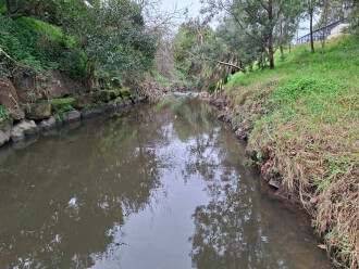 Upstream view