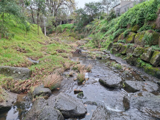 Downstream view