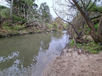 Downstream view