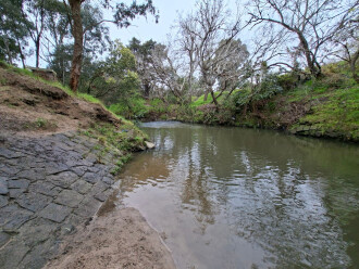 Upstream view