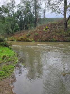 looking upstream