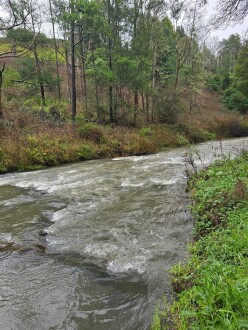 loong downstream