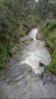 Looking downstream
