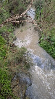 Looking upstream