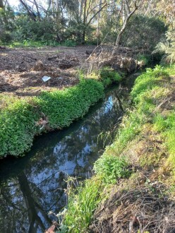 Stony Creek, Cruikshank Park, Yarraville, downstream