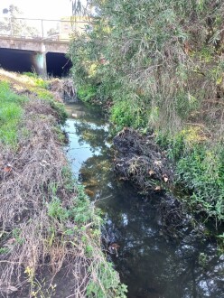 Stony Creek, Cruikshank Park, Yarraville, downstream