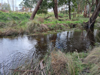 Eastern bank of site. Approx. 80mm rain during past week; about 500mm since start of June. About 900mm so far this year.
