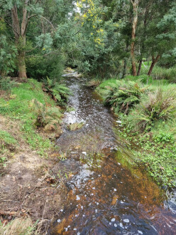 Looking north over sample site. Approx. 80mm rain during past week; about 500mm since start of June. About 900mm so far this year.