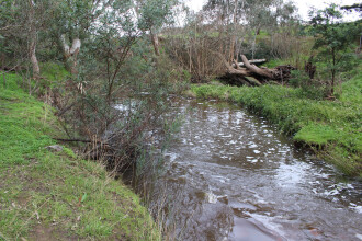 Down stream
