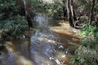 Upstream