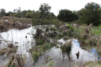 Upstream