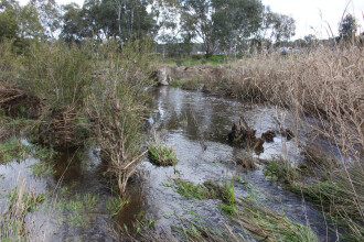 Down stream