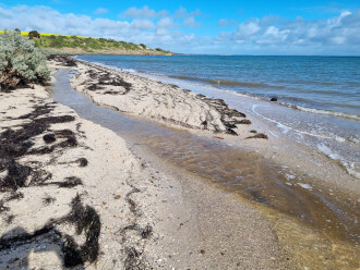 Griggs Creek flow into bay