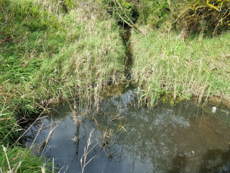 Coeonae easment water sampling location