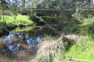 Upstream