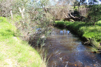 Down stream