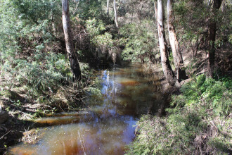 Upstream
