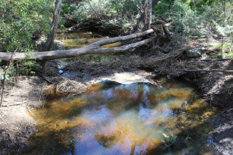 Down stream