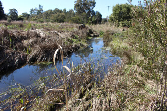 Upstream