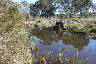 Down stream