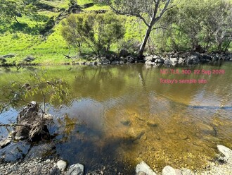Tullaroop Creek at Fawcett&rsquo;s Crossing  Sample Site