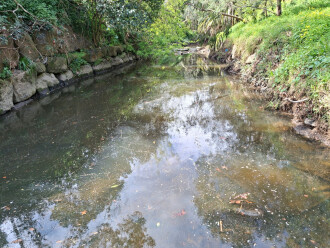 surfactant (pollen?) over clear water
