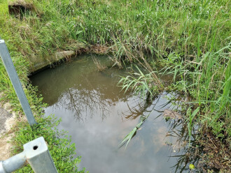 Submerged drain pipe outlet from resisential area is not visible.