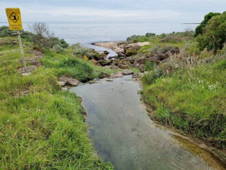 Pool overflow into the bay. The lower under ground pipe running into the bay is blocked by sand.