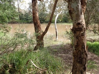 2 ducks entered water here