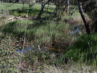 taken on 7/10/2026 looking downstream