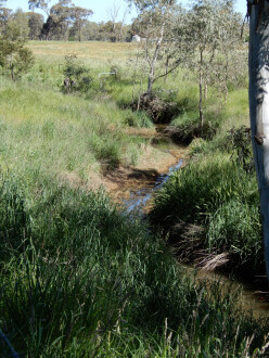 taken on 7/10/2026 showing water in the channel which is 500m north of Stewarts lane