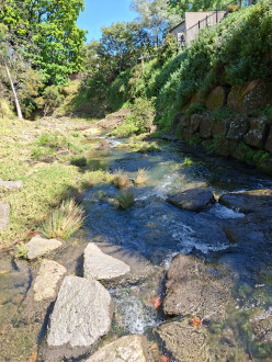 Downstream view