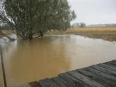 Downstream