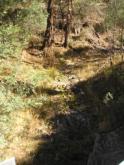 Downstream