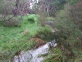 Upstream