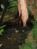 Downstream